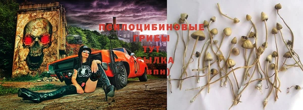 эйфоретик Осинники